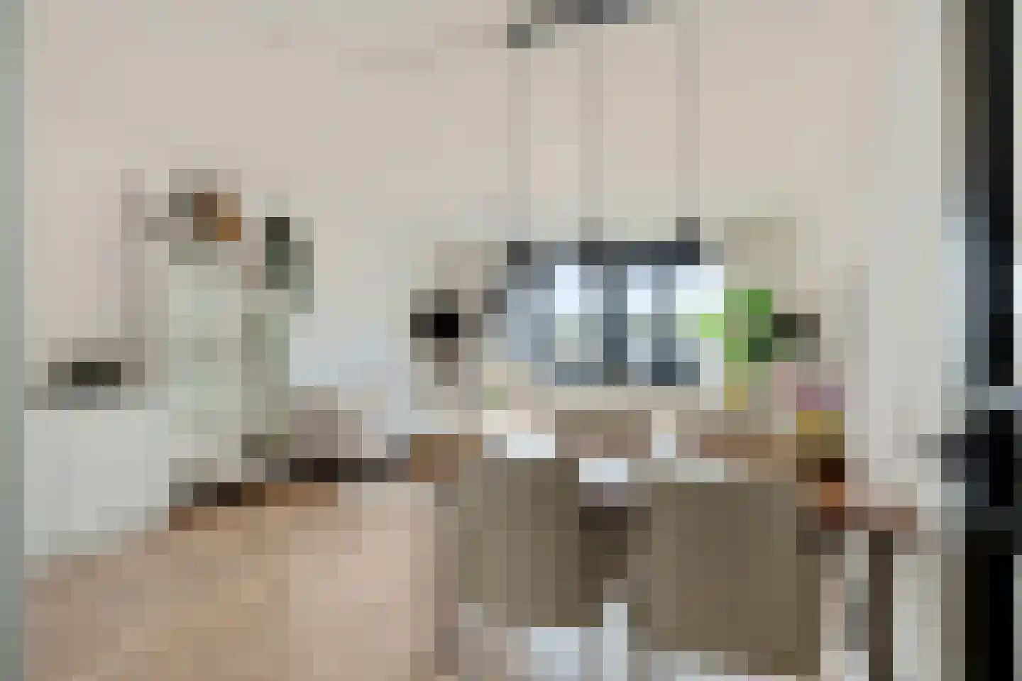 Ouddiemerlaan 4 M Diemen thumbnail 9