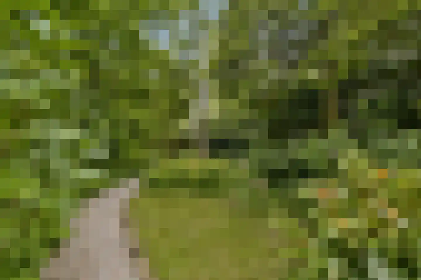 Ouddiemerlaan 47 Diemen thumbnail 18