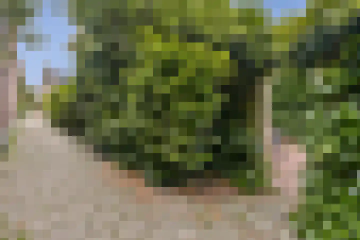 Ouddiemerlaan 47 Diemen thumbnail 21