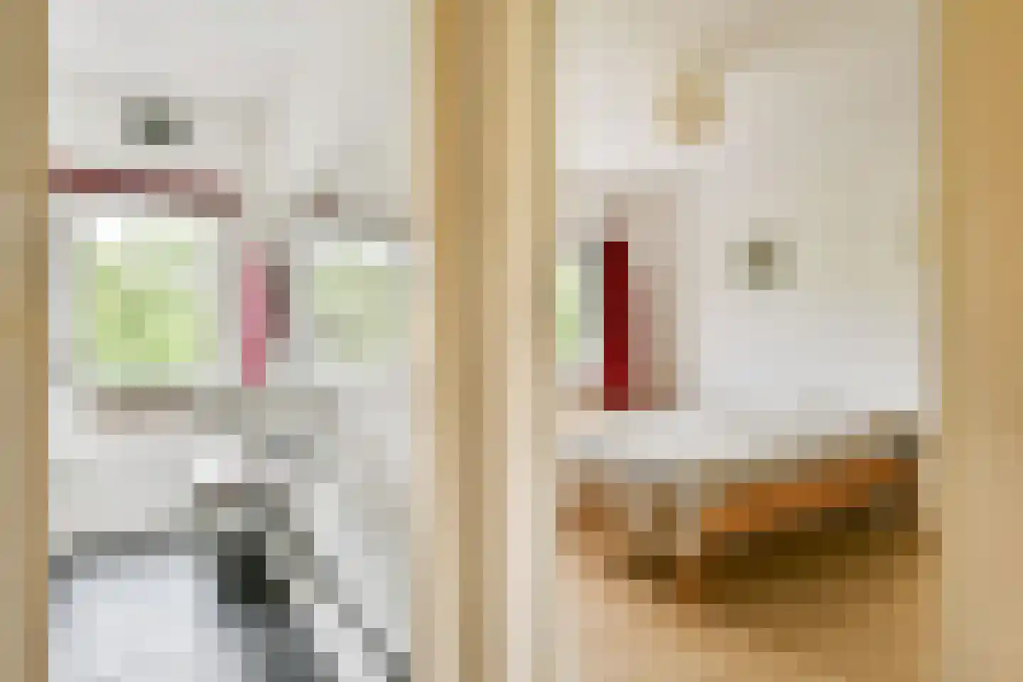 Ouddiemerlaan 47 Diemen thumbnail 25