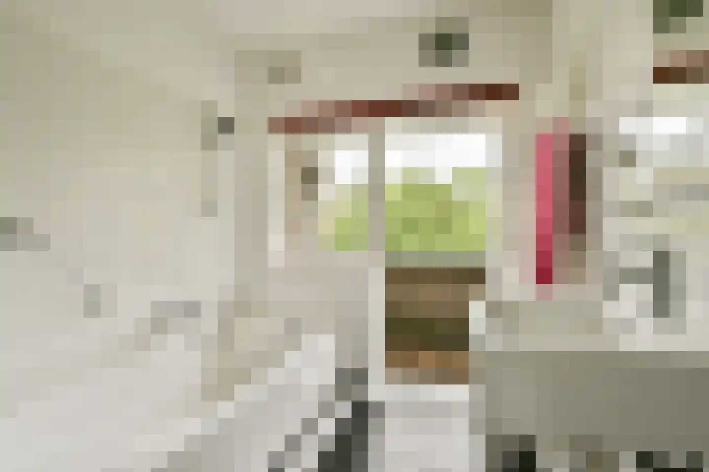 Ouddiemerlaan 47 Diemen thumbnail 26