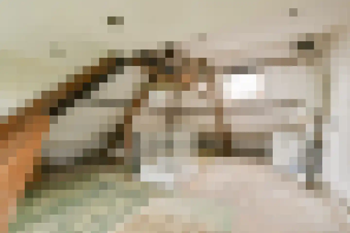 Ouddiemerlaan 47 Diemen thumbnail 36