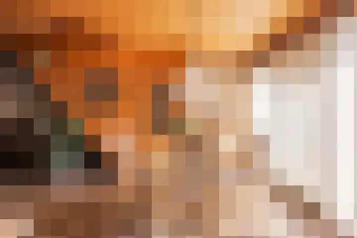Ouddiemerlaan 70 Diemen thumbnail 12