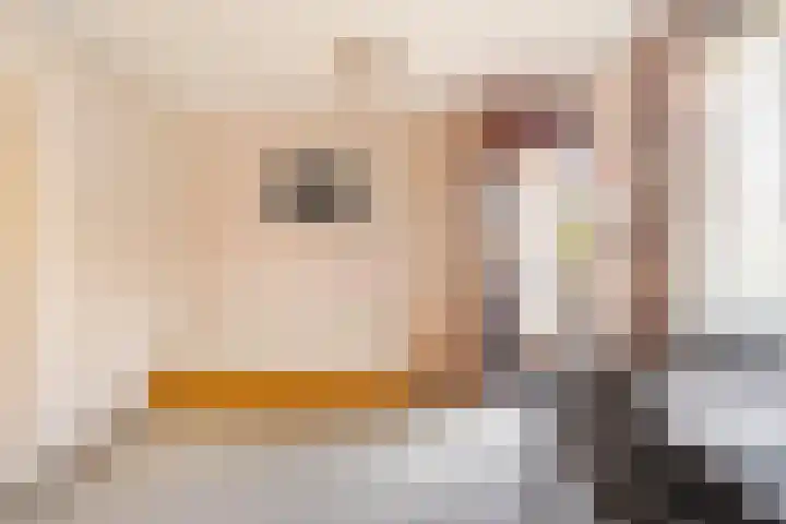 Ouddiemerlaan 70 Diemen thumbnail 23
