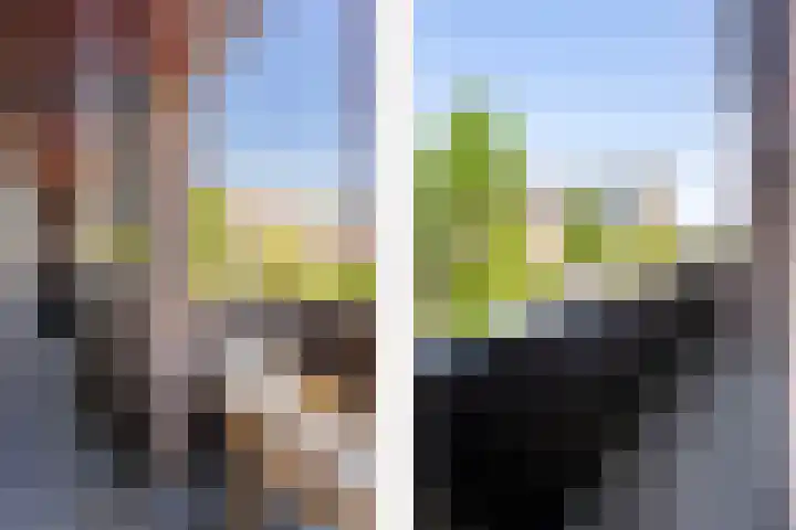 Ouddiemerlaan 70 Diemen thumbnail 24