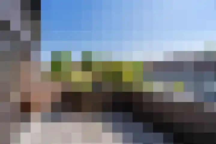 Ouddiemerlaan 70 Diemen thumbnail 26