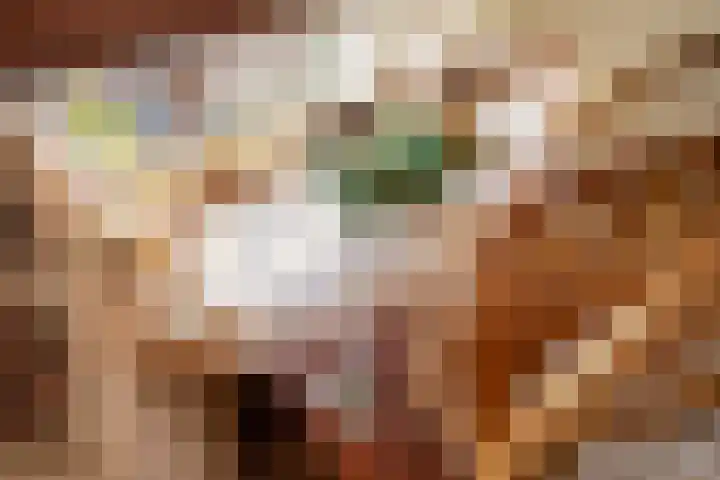 Ouddiemerlaan 70 Diemen thumbnail 31