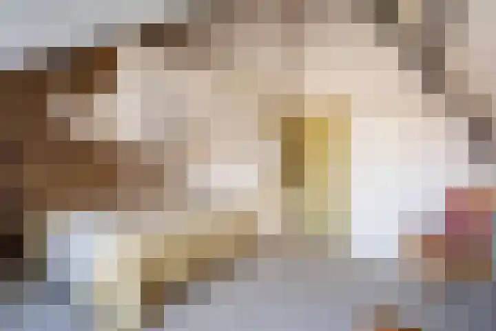 Ouddiemerlaan 70 Diemen thumbnail 36