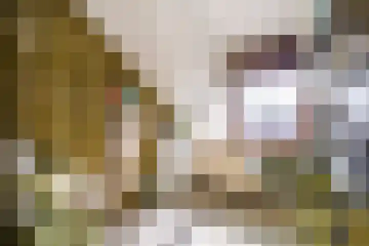 Ouddiemerlaan 70 Diemen thumbnail 38