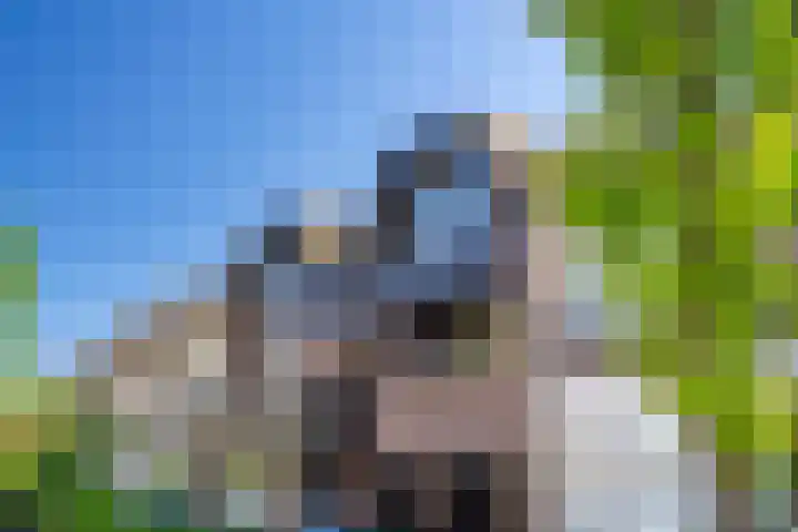 Ouddiemerlaan 70 Diemen thumbnail 4