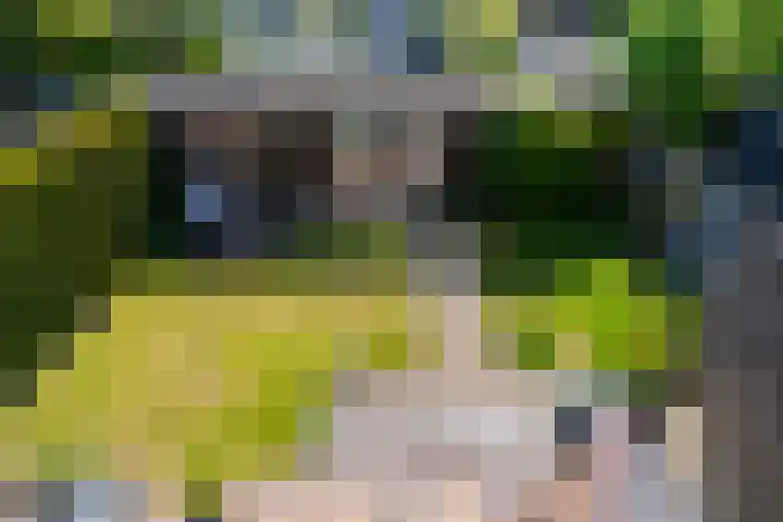 Ouddiemerlaan 70 Diemen thumbnail 41