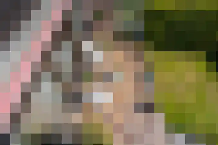Ouddiemerlaan 70 Diemen thumbnail 42