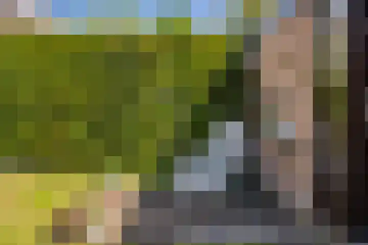 Ouddiemerlaan 70 Diemen thumbnail 46