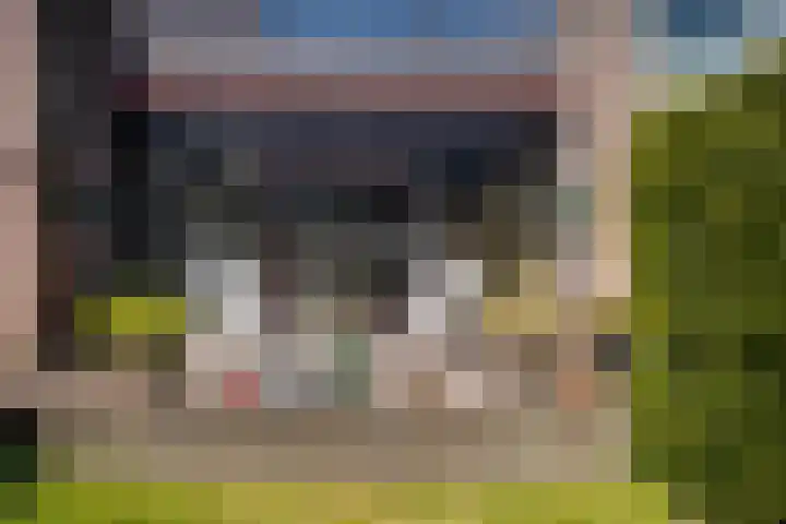 Ouddiemerlaan 70 Diemen thumbnail 47