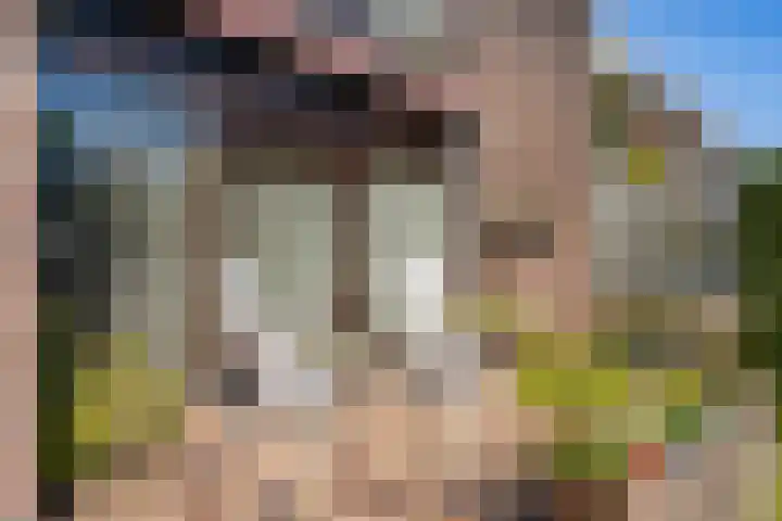 Ouddiemerlaan 70 Diemen thumbnail 48