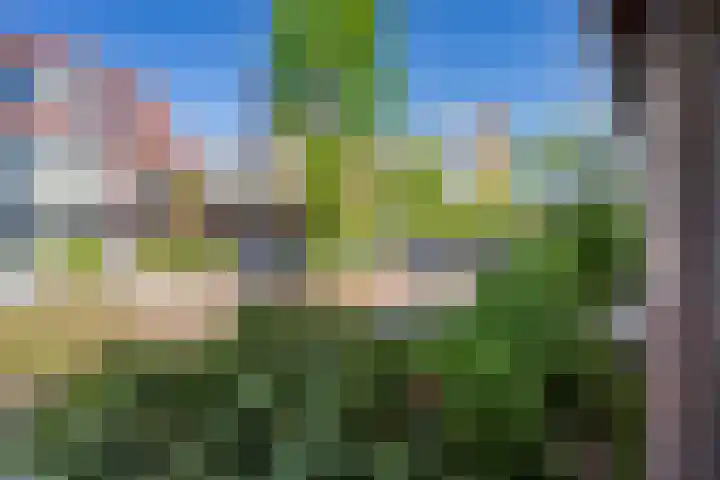 Ouddiemerlaan 70 Diemen thumbnail 51