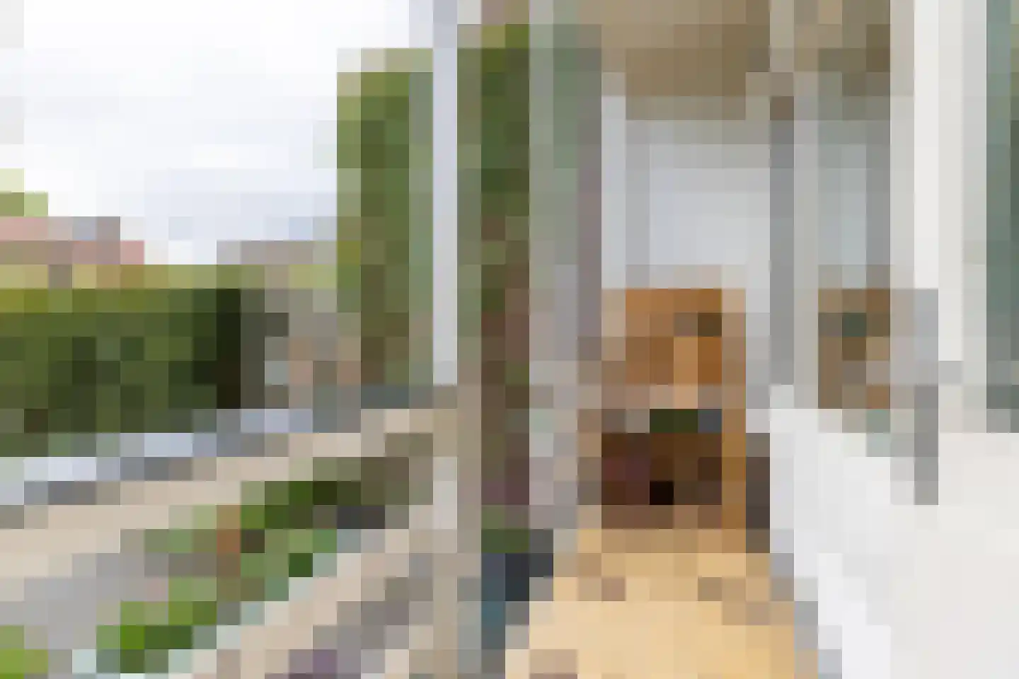 Ouddiemerlaan 72 Diemen thumbnail 18