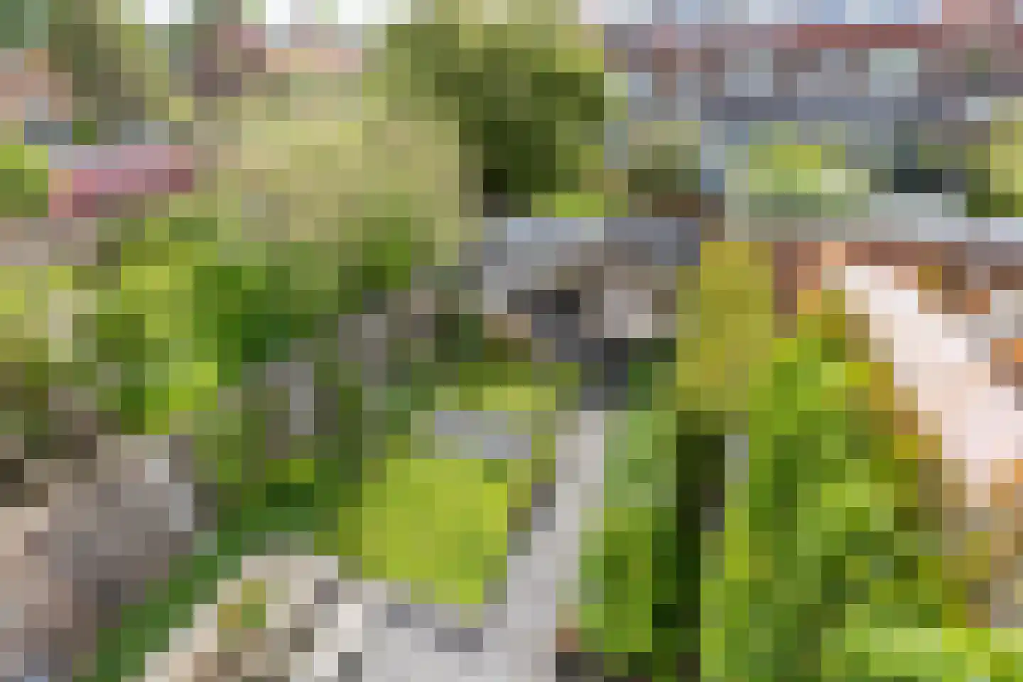 Ouddiemerlaan 72 Diemen thumbnail 22