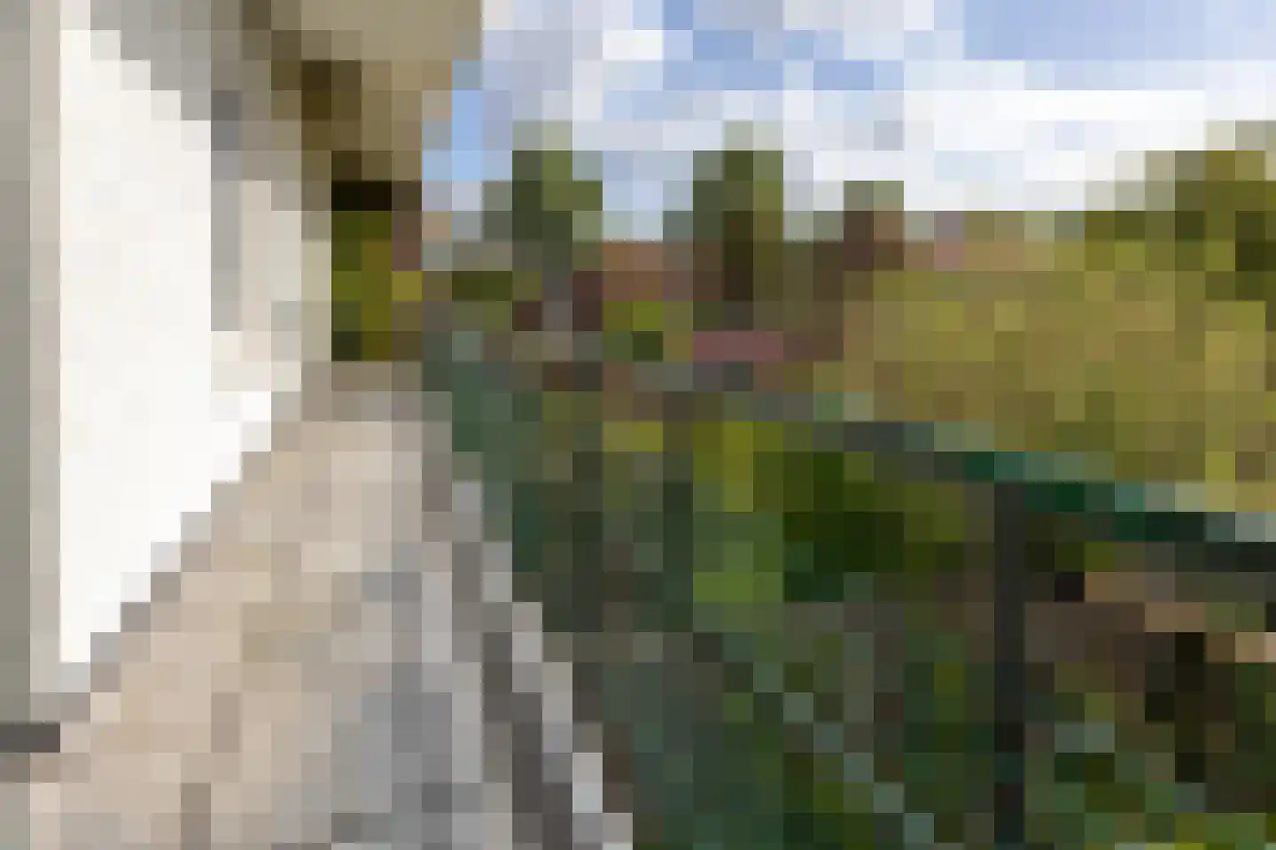 Ouddiemerlaan 72 Diemen thumbnail 23
