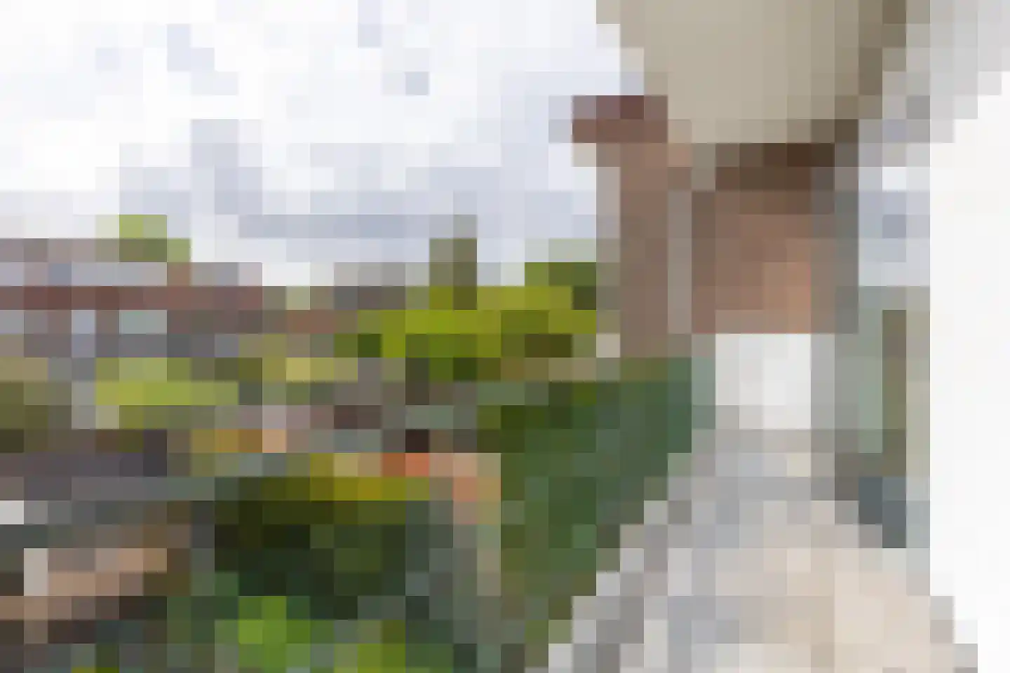Ouddiemerlaan 72 Diemen thumbnail 24