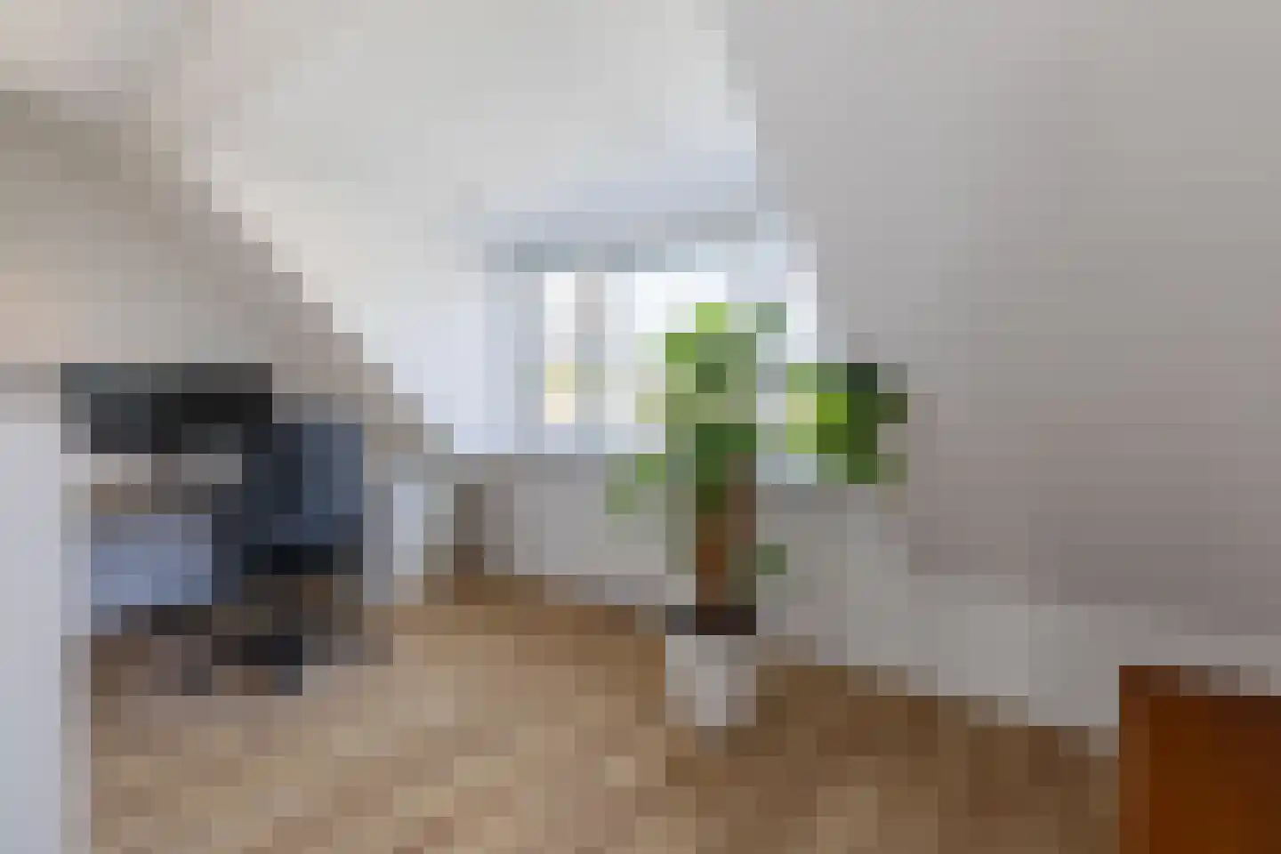 Ouddiemerlaan 72 Diemen thumbnail 34