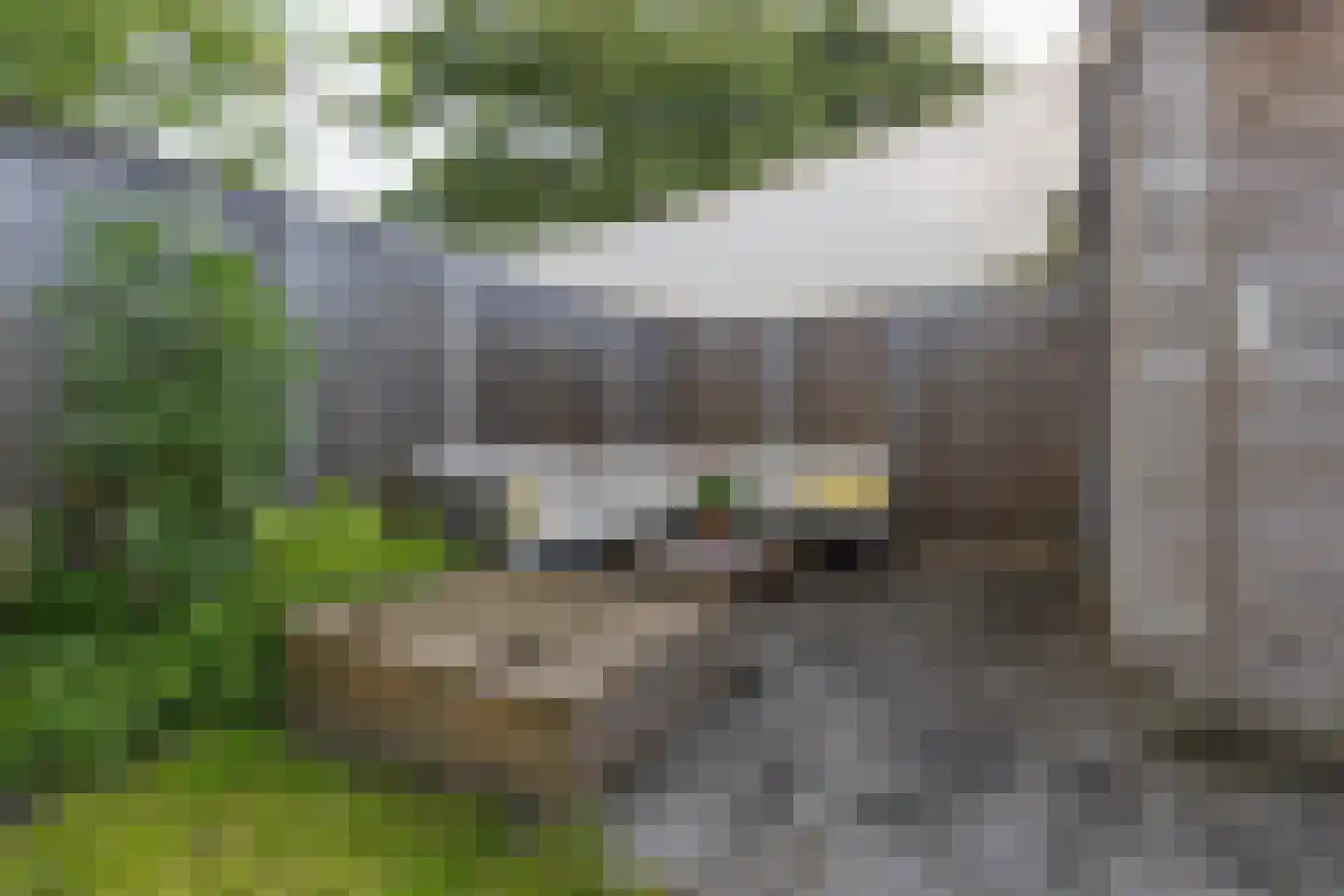 Ouddiemerlaan 72 Diemen thumbnail 41