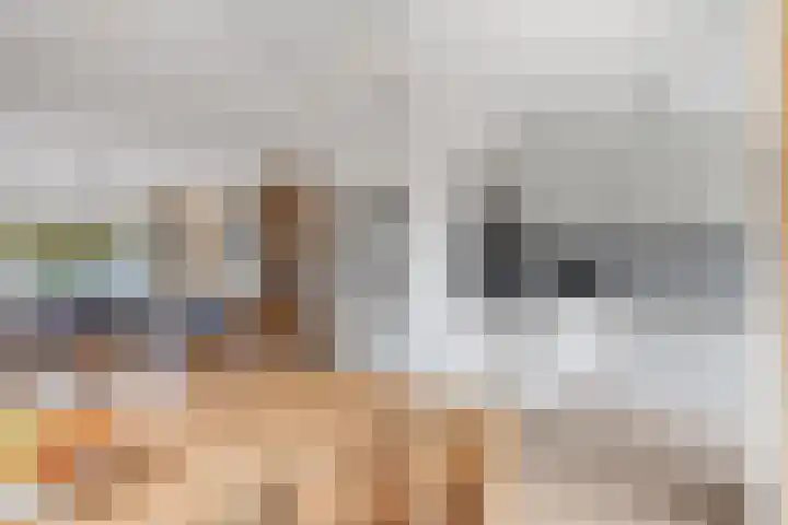 Ouddiemerlaan 82 Diemen thumbnail 10