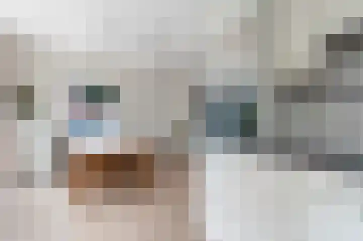 Ouddiemerlaan 82 Diemen thumbnail 13