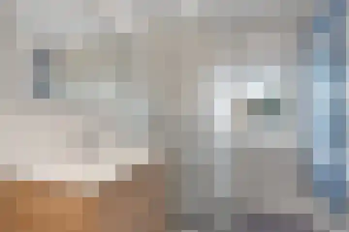 Ouddiemerlaan 82 Diemen thumbnail 25