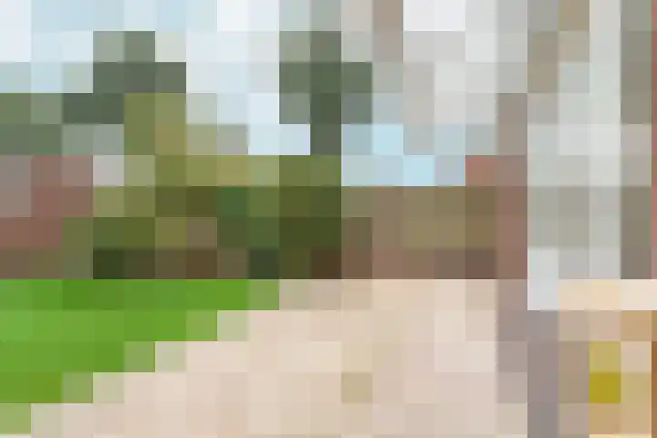 Ouddiemerlaan 82 Diemen thumbnail 38