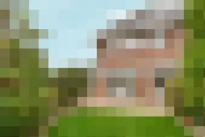 Ouddiemerlaan 82 Diemen thumbnail 39