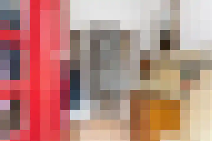 Ouddiemerlaan 82 Diemen thumbnail 4