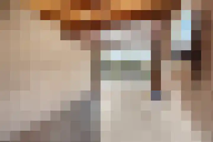 Ouddiemerlaan 82 Diemen thumbnail 41