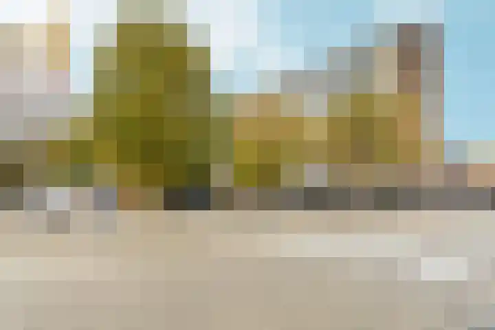 Ouddiemerlaan 82 Diemen thumbnail 44