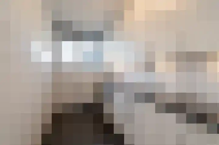 Ouddiemerlaan 95 Diemen thumbnail 12
