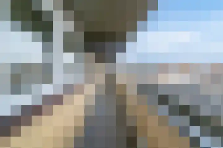 Ouddiemerlaan 95 Diemen thumbnail 28