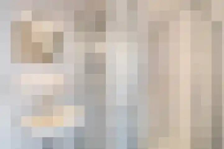 Ouddiemerlaan 95 Diemen thumbnail 50
