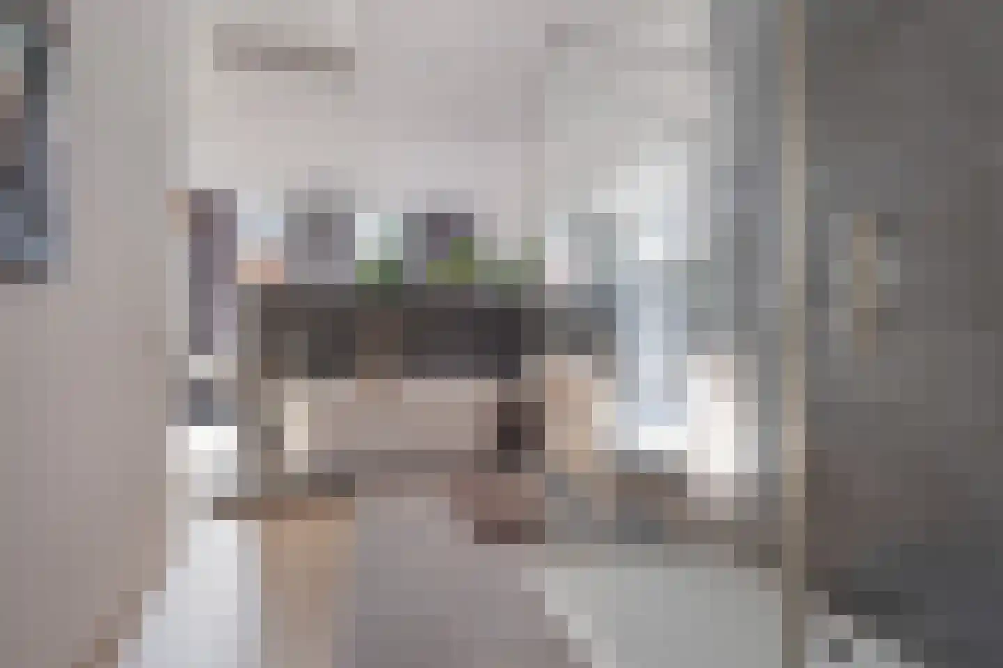Ouddorpsestraat 11 Schiedam thumbnail 10