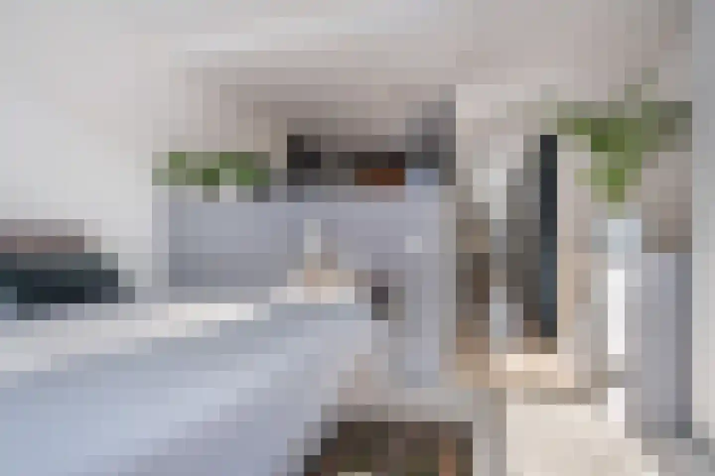 Ouddorpsestraat 11 Schiedam thumbnail 9