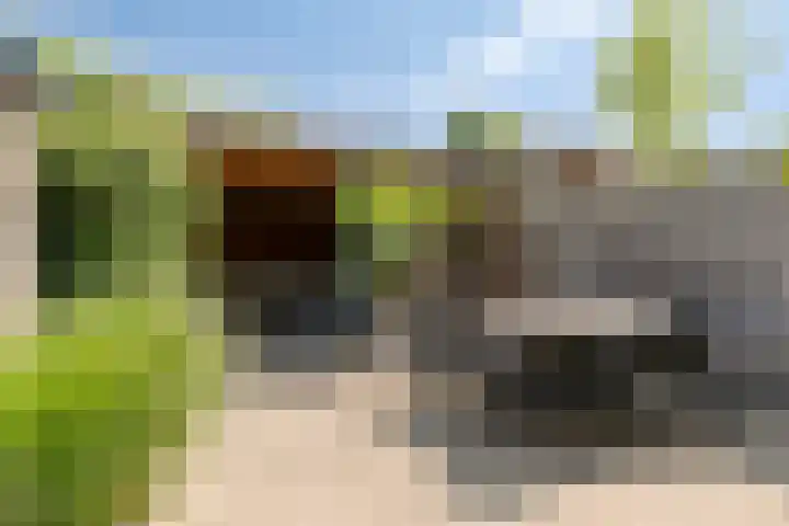 Oude A straat 7 Ter Apel thumbnail 14