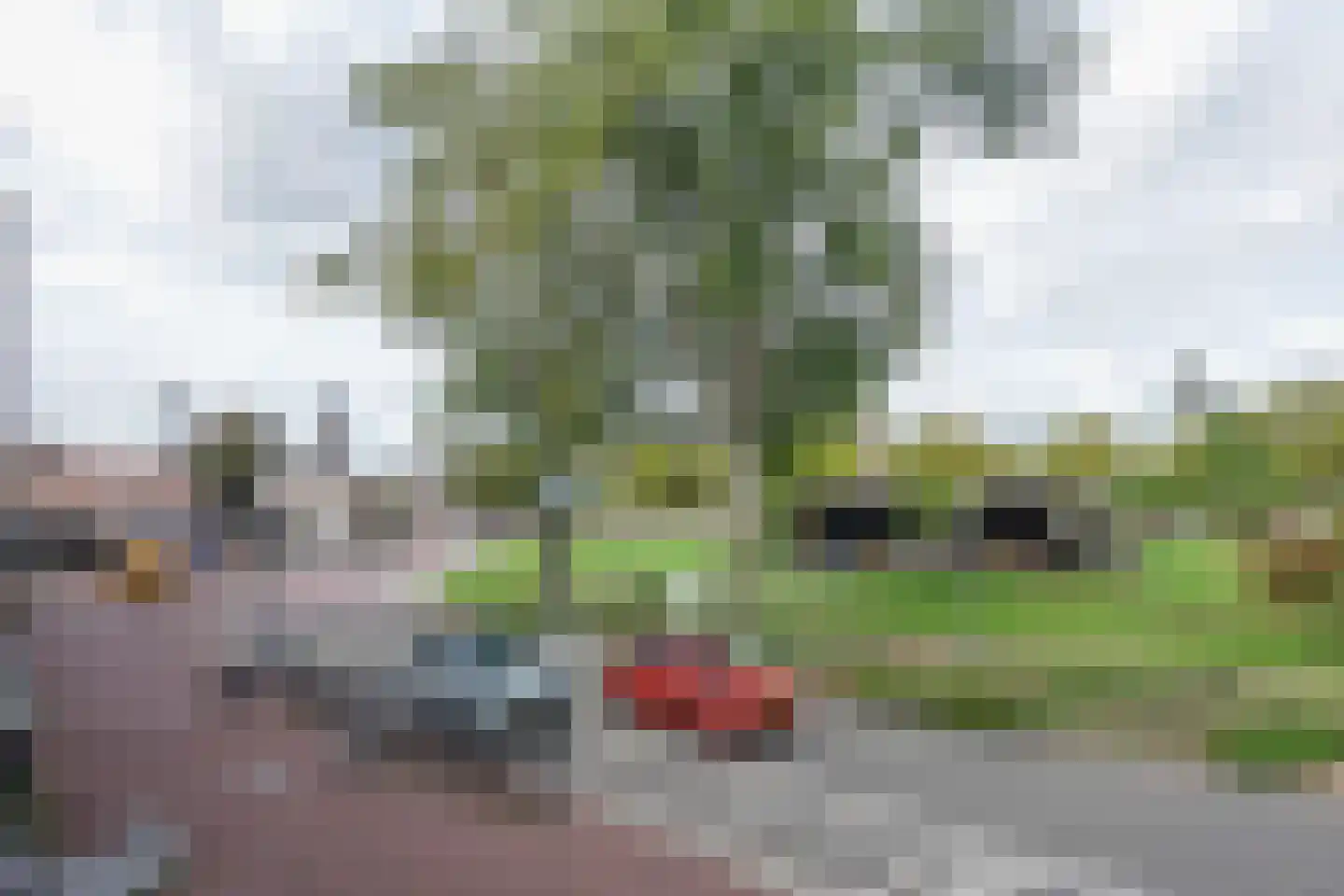 Oude Aa 31 Helmond thumbnail 50