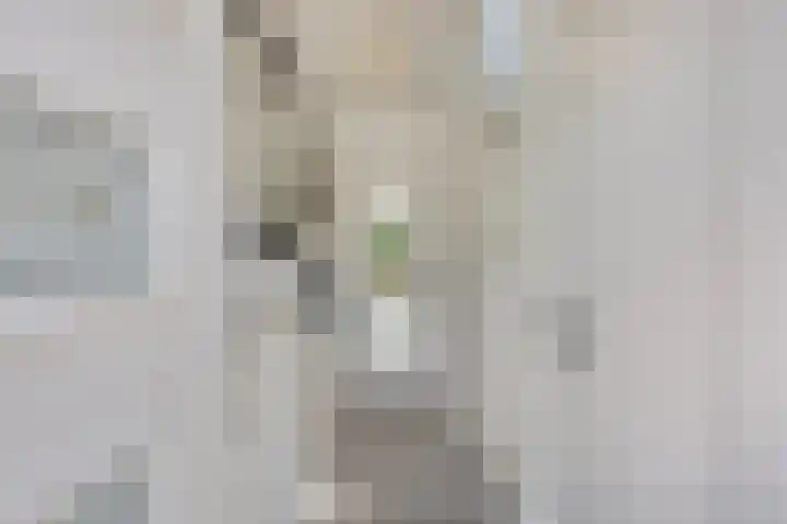 Oude Akerstraat 36 Bemelen thumbnail 6