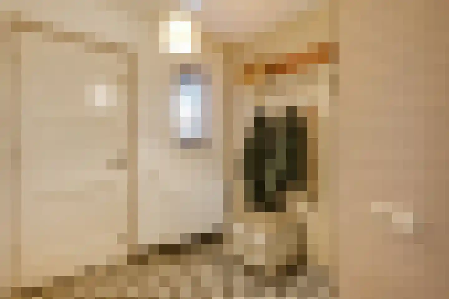 Oude Akerstraat 6 Bemelen thumbnail 10
