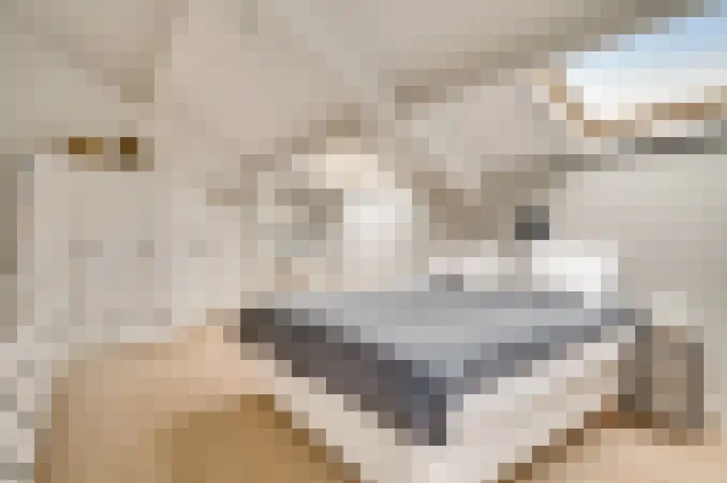 Oude Akerstraat 6 Bemelen thumbnail 12