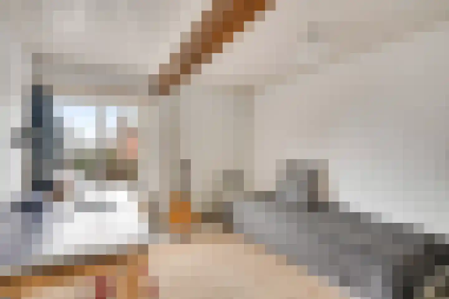 Oude Akerstraat 6 Bemelen thumbnail 14