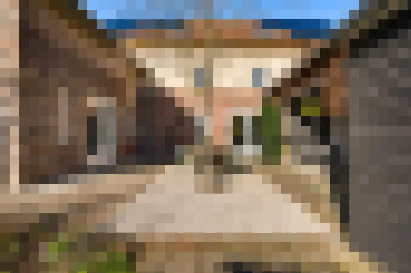 Oude Akerstraat 6 Bemelen thumbnail 20