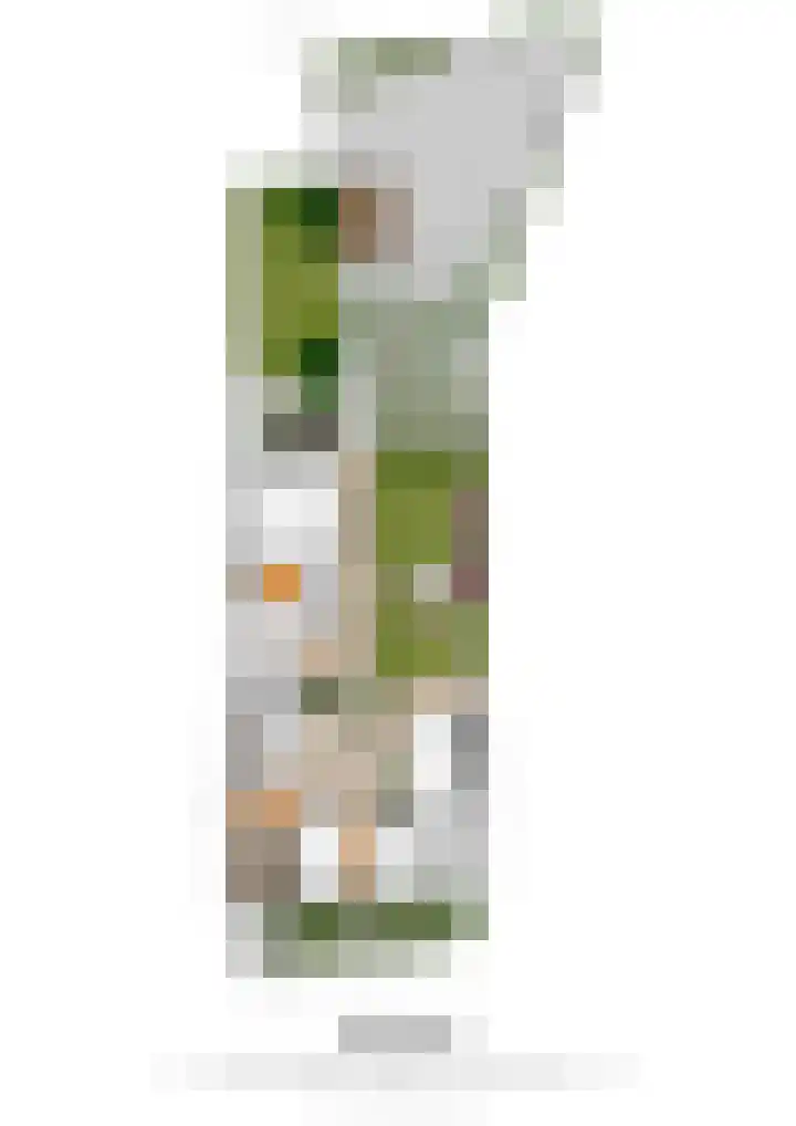 Oude Akerstraat 6 Bemelen thumbnail 31