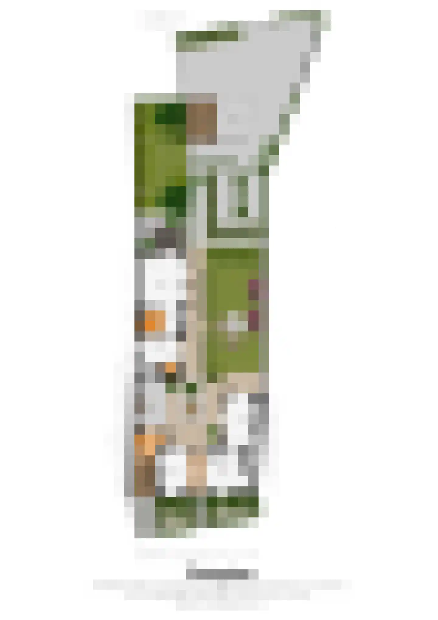 Oude Akerstraat 6 Bemelen thumbnail 31