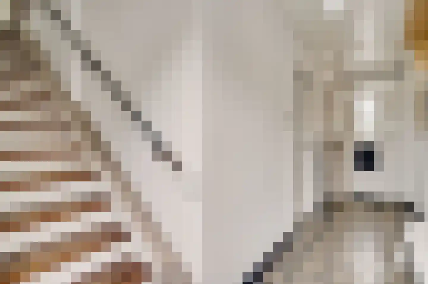 Oude Akerstraat 6 Bemelen thumbnail 9