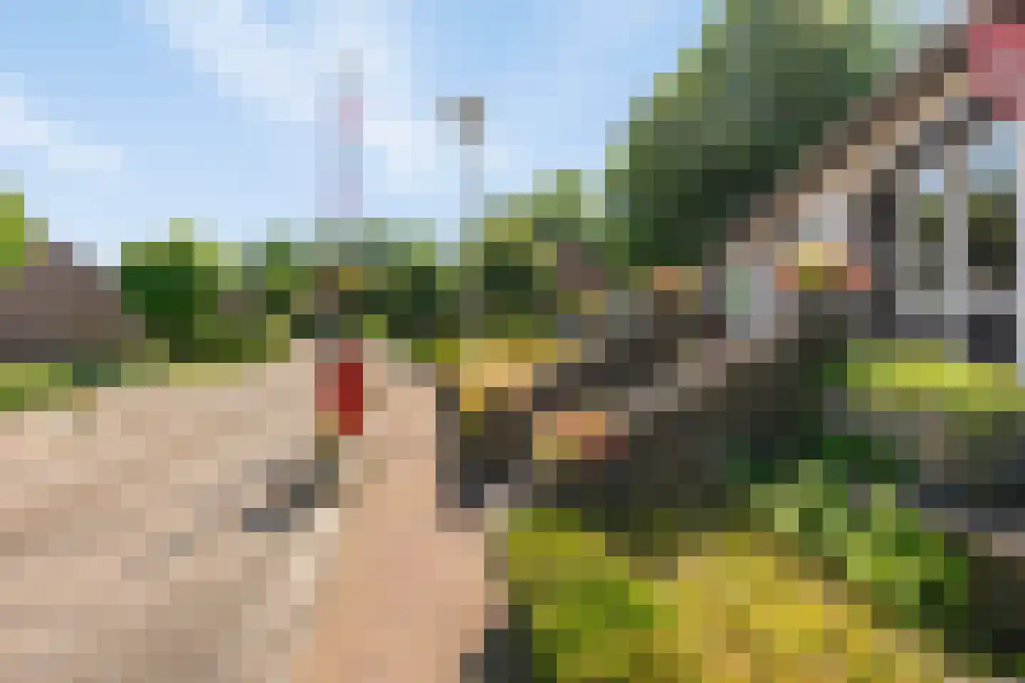 Oude Akerweg 40 a010 Vijlen thumbnail 24